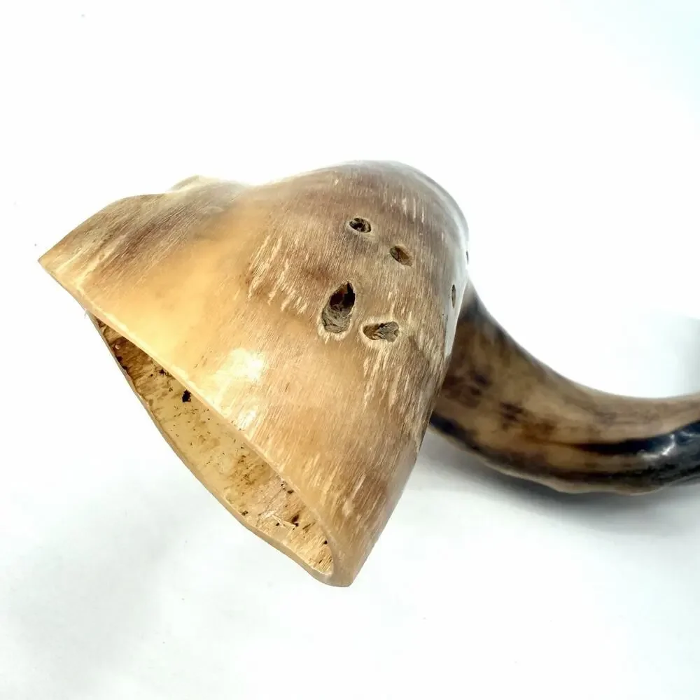 Unbranded kosher kudu